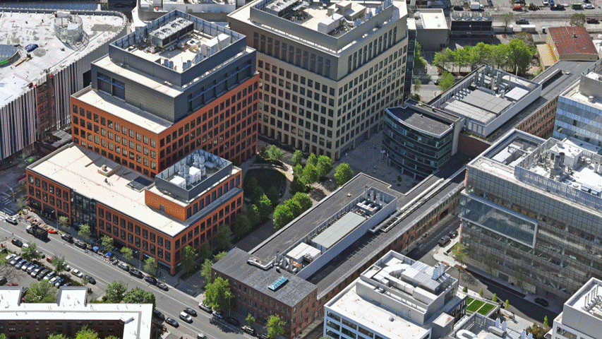 Bulfinch’s Osborn Triangle Announces Brand Refresh