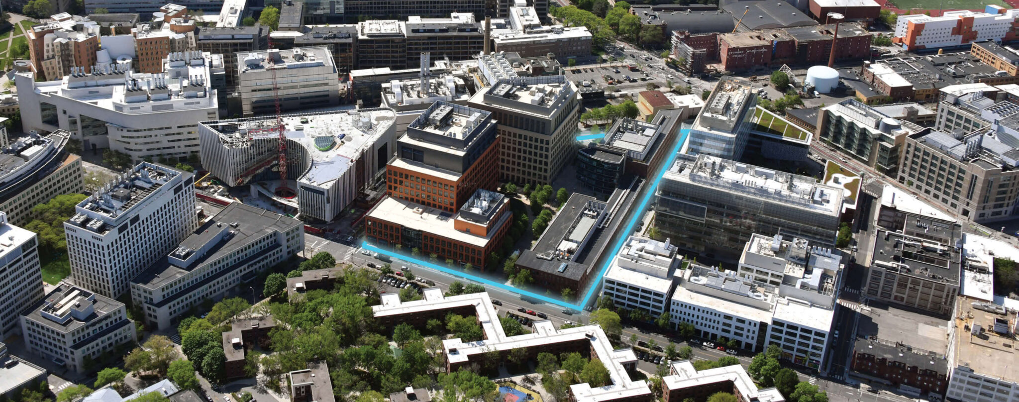 osborn traingle life science